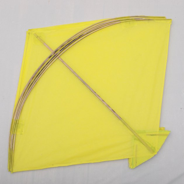 Chill poniya kites  - 40 pics