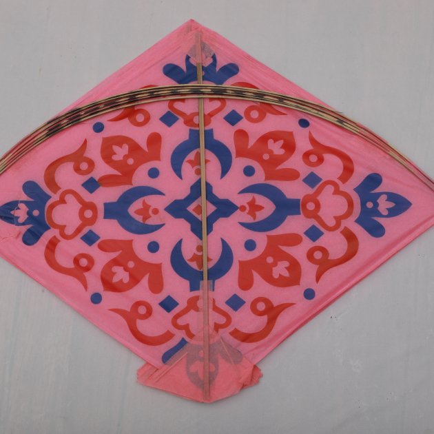 Printed Medium kite - 40 pics