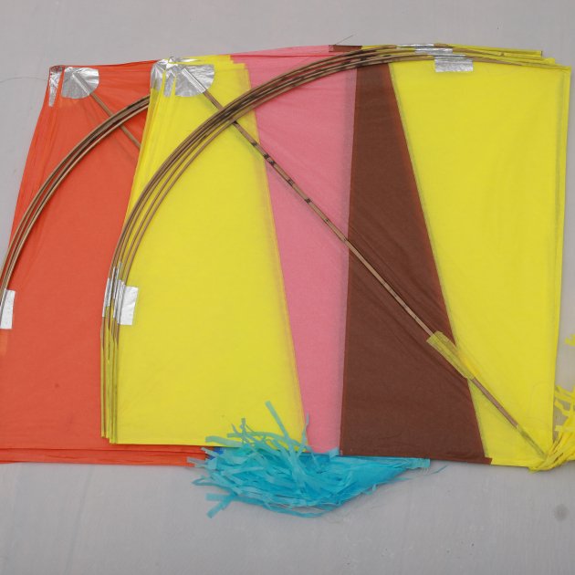 Poniya patta gol - 40 pics