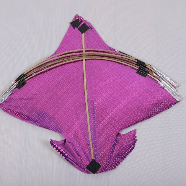 Fancy kite - 100 pics