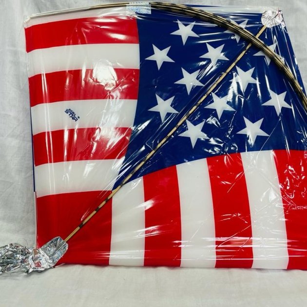 Poniya Fancy PVC Printed kites - 40 pics