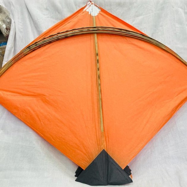 Poniya Plain Kites - 40 pics