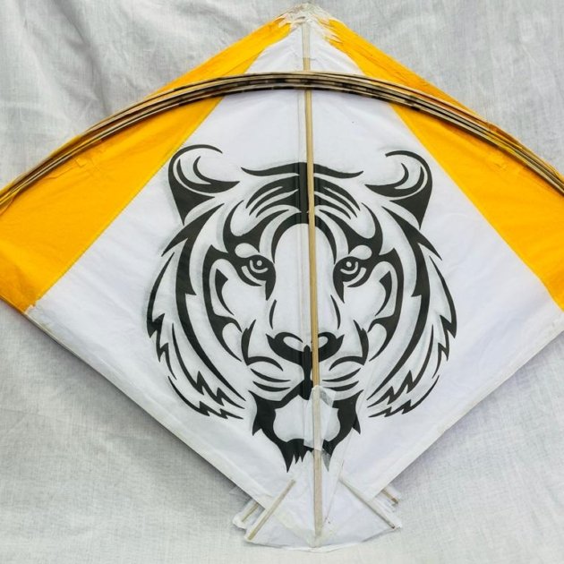 Kali Printed Patang - 40 pics